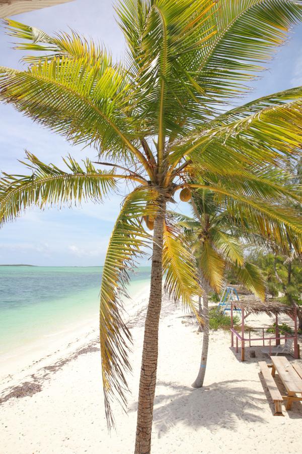 Exuma Point Beach Villas Rolleville Kültér fotó